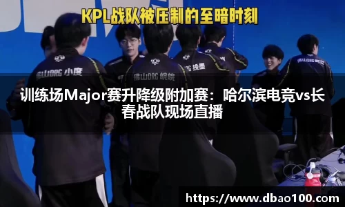 训练场Major赛升降级附加赛：哈尔滨电竞vs长春战队现场直播