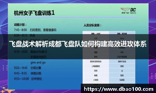 飞盘战术解析成都飞盘队如何构建高效进攻体系